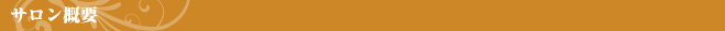 サロン概要