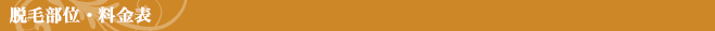 脱毛部位・料金表