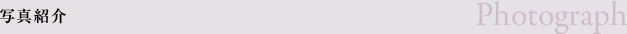 写真紹介