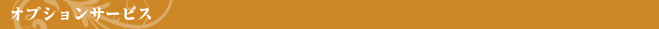 オプションサービス